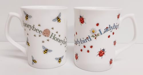 Rainbow Decors Juego de 2 tazas de porcelana fina de 250 ml, diseño de abeja y mariquita, decoradas a mano en Reino Unido