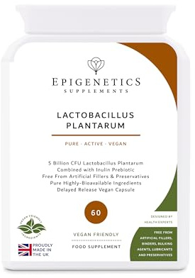Lactobacillus Plantarum | 5 Billion CFU Probiotic + Chicory Root Prebiotic (Inulin) | 60 Vegan Delayed Release Capsules UK Made | 2 Month Supply