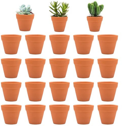 Cisolen 20 mini vasi in terracotta, piccoli vasi in argilla, piccoli vasi in argilla, con foro di scarico, vasi per fiori fai da te, vasi in ceramica per cactus e piante grasse (5 x 4 cm)
