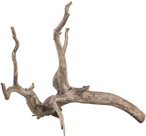 sera Scaper Root XS 18–20 cm | filigrane Aquascaping-Wurzel für Süßwasseraquarien | dunkelbraun | natürliche Deko für Naturaquarien und Aquariengestaltung | wenig Bakterienaufwuchs