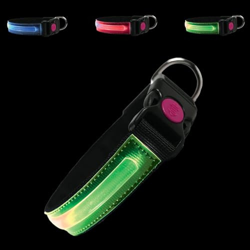 PETTY LED Hundhalsband - Opladdningsbar USB-halsband med spänne och säkerhetsknapp för små, medelstora och stora hundar (S Grön)