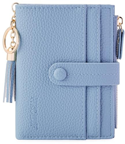 HKCLUF Geldbörse Damen Kleine, Geldbeutel Frauen Leder, RFID Portemonnaie Brieftasche Münzfach mit Quaste Damengeldbörsen Reißverschluss Viele Fächer Nebelblau