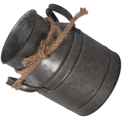 Vase en métal antique avec pot à lait pour décoration de maison, seau en fer, décoration de jardin