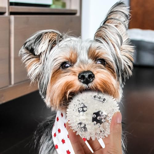 Lurrose Juguete Limpieza Dental del Perro Pelota para Morder Resistente Juguete para Mascotas Duradero Múltiples Puntas Adecuado Cuidado Dental y Entretenimiento Casa