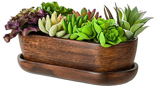 botle Pot de fleurs, en céramique, bol à cactus et soucoupe pour l'eau - Pour cactus, bonsaï, plantes succulentes (ovale, marron foncé)