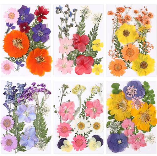 eBoot 72 Pcs Dried Pressed Flowers for Resin Molds Real Pressed Flowers Dry Leaves Bulk Natural Herbs Kit for Scrapbooking DIY Art Crafts Jewelry Molds Candle Soap Making Nails Decor(Gorgeous Style)