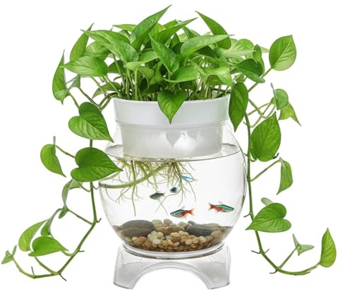 Aquarium | Réservoir de Poissons aquaponique, Bol à Poissons en Plastique Transparent avec Support et jardinière, réservoir de Poisson sain 1 Gallon pour Plantes d'aquarium, S