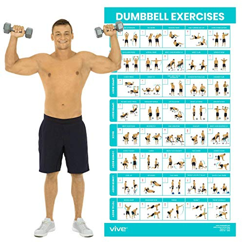 Vive Langhantel-Übungsposter – Heim-Gymnastik-Training für Ober-, Unter- und Ganzkörpertraining – laminierte Tafel für Rücken, Arme, Rumpf und Beine – Kostenlose Anleitung zum Krafttraining für Männer | Laminierte Körpergewichts-Workout-Diagramm für Rücken, Arm, Rumpf und Beine, Gewichtsaufbau für Männer, Frauen