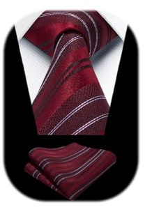 HISDERN Rot Herren Krawatte Formell Streifen Krawatte mit Einstecktuch Set Hochzeit Krawatten and Taschentuch