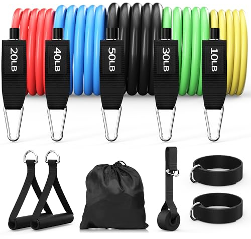 Resistance Bands, Exercise Bands Set for Working Out, Resistance Bands with Handles, Home Gym Workout Bands, Fitness Equipment for Men and Women Strength Training