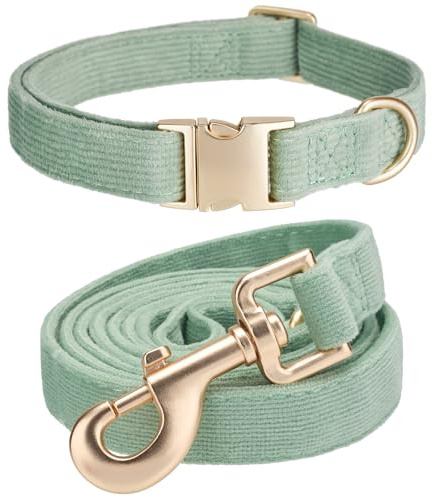 YUDOTE Hundehalsband und Leine Set Mittel, Weiche Reizfreie Cord-Halsband-Leine Passende Combo für Den Täglichen Spaziergang, Salbeigrün