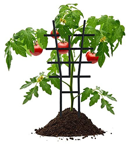 SJDWDX 4 enrejados de jardín, enrejado de plástico de 16.5 pulgadas, enrejado apilable para interiores con hebillas, soporte para macetas de jardín para plantas de escalada de jardín (color negro)