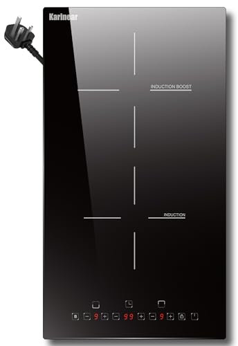 Karinear Induction Hob 2 Ring– Plug-in Hob with Boost, 9 Power Levels, 99 Min Timer & Safety Lock for Iron Cookware (290 * 520 * 61mm)