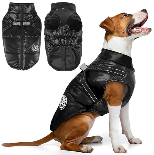Manteau d'hiver Imperméable pour Petit Chien, Veste Rembourrée avec Harnais et Anneau, Noir (Noir, L)