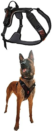 Non-stop dogwear Rock Harness |130| Führ und Alltagsgeschirr, Größe:M