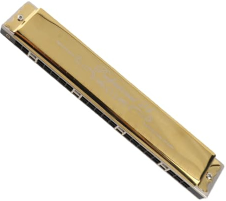 Diatonische Mundharmonika, 24 Löcher Mundhülle mit Etui, Goldener D-Schlüssel für Erwachsene Anfänger - Musikinstrumente Spielen