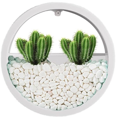 Maceta transparente para montaje en pared, maceta de pared redonda - Maceta colgante redonda transparente,Florero de pared circular, macetas para flores de interior, florero montado en la pared para p