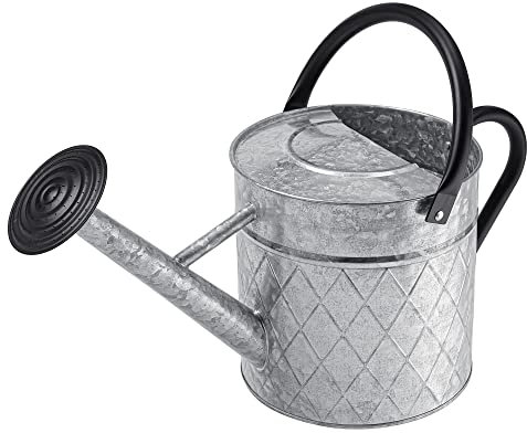 BLstyle Gießkanne für den Außenbereich, verzinktes Metall, für Gartenpflanzen, Vintage-Zink-Gießkanne mit abnehmbarem Sprühauslauf, ideal für den Außenbereich (Silber)