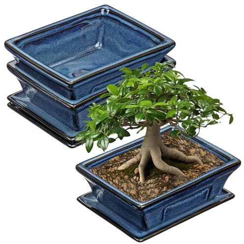Ceramic Bonsai Pots with Drainage Tray Set of 2, 6 Inch Blue Glazed Bonsai Planters for Indoor/Outdoor Use, Shallow Rectangular Bonzai Tree Pots for Succulent, Orchids, Cacti, Home, Patio, Garden