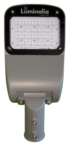 Luminaria vial LED hasta 70W CARES S 4000K IP65 IK10 Gris