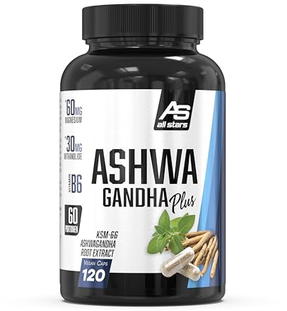 ALL STARS KSM-66 Ashwagandha Kapseln hochdosiert 12 Stk. vegan | 600 Mg KSM-66 je Tagesportion, Mit wertvollem Zink, Magnesium & Vitamin B6, Ohne künstliche Zusatzstoffe