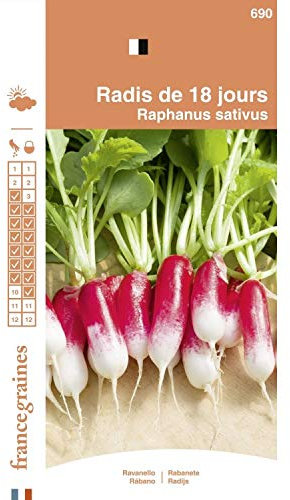 France Graines - Radis 18 Jours