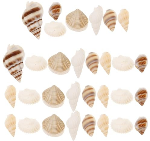 Mobestech Kasten Mit Kleinen Muscheln Zum Basteln Naturmuscheln Für Dekoration Mini-Muscheln Für DIY-projekte Schmuckherstellung Und Maritimer Dekoration