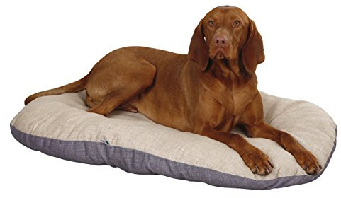Kerbl Hunde Liegekissen Loneta (Hundekissen für mittelgroße bis große Rassen, Länge/Breite/Höhe 72/52/8 cm, Hundebett Beige/Grau) 80355