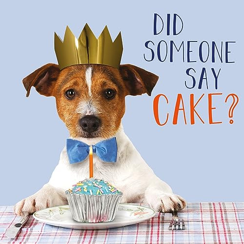 Abacus Cards Male/Female Birthday Card - General Funny Card for Men/Women - 'Did Someone Say Cake?' Jack Russell Dog - Eco-Friendly & Recyclable - Made in the UK