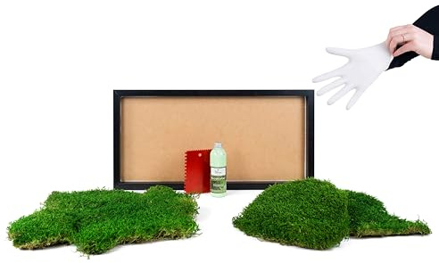 Moos Design | Moosbild DIY versch. Größen (Flat Design, Holzrahmen: schwarz, 60 x 30 cm)