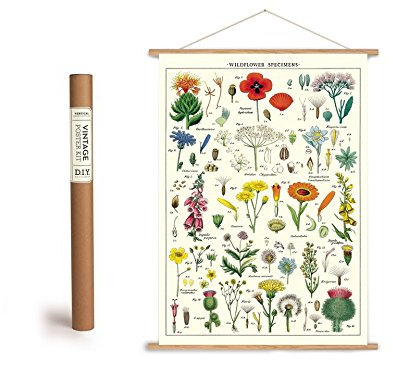 Cavallini Vintage Poster Set mit Holzleisten (Rahmen) und Schnur zum Aufhängen, Motiv Wildblumen, Blumenwiese, Heimbüro