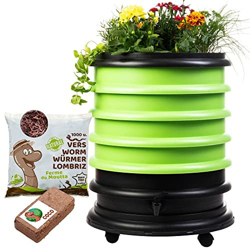 WormBox | Wormery Worm Farm composter 4 Green Trays + Planter + 500gr of Compost Worms / 1000 ctn + 1 Coco + 1 Coco| 64 liters | Organic Waste Compost, make your Worm Castings