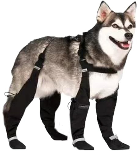 XXL-Dog Regenstiefel wasserdichte Hundestiefel mit Hosenträgern Anti-Rutschhund-Schuhe reflektierende Hundefälle und Pfotenschutz für mittelgroße Hunde, Hundeschuhe zum Wandern, regnerische und sch