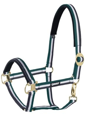 Halfter SLIDING BUCKLE CORE