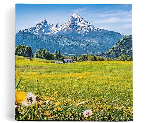 Paul Sinus Wandbild 80x80cm Alpen Österreich Schneegipfel Wiese Blumen Sonnenschein