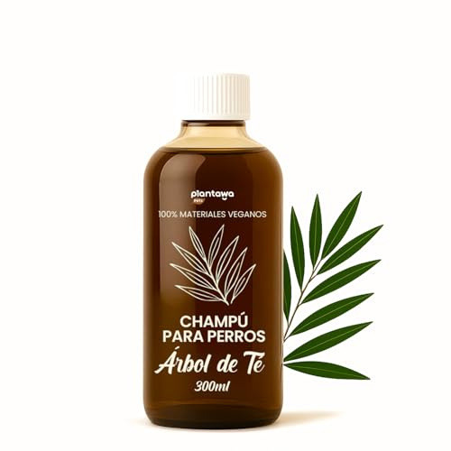 PLANTAWA Champú Árbol de Té para Perros 300ml | Piel Sensible y Pelo Brillante | Calma Picores, Sin Irritaciones, Uso Frecuente, Aroma Natural | Apto para Todas Las Razas
