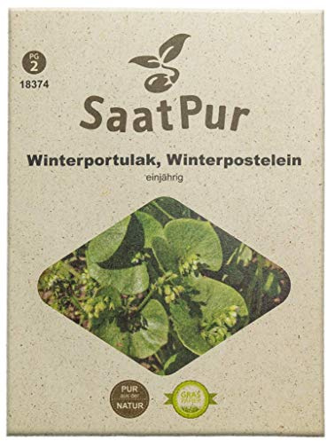 SaatPur Winterportulak Samen, Saatgut für ca. 1500 Pflanzen