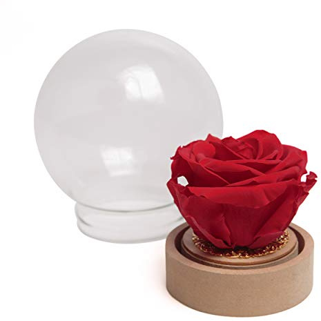 ROSEMARIE SCHULZ Heidelberg Infinity Rose im Glas rund die Schöne und das Biest echte ewige Rose im Glas (Large, Rot)