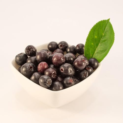 Aronia Melanocarpa obstbäume bonsai Aronia, Aroniabeeren hecken sträucher deko wohnzimmer topfpflanzen draußen winterhart blühend bonsai balkonpflanzen säulenobst anzucht grünpflanzen 25samen