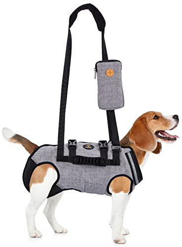 Ownpets Harnais de levage pour chiens de taille moyenne, harnais complet pour chien, harnais d'aide au chien, harnais de transport pour chien, doux, imperméable, réglable, réfléchissant, respirant,