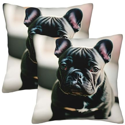Bezauberndes Kissen mit französischer Bulldogge, quadratisch, ideal für Sofas, Autositze und mehr, eine Mischung aus Stil und Komfort