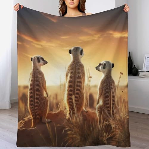 PAZZK Decke Erdmännchen Decke Flauschige Decke Wohndecke Dicke Sofadecke Couchdecke Weiche Fleecedecke Flannel Sofaüberwurf Tagesdecke Für Bett/Sofa（130×180cm）