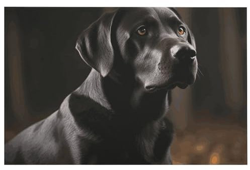 Fußmatte Home Welcome Mats Outdoor Indoor Fußmatte Front Back Door Mats Black Labrador Doormats for Entryway Outdoor Door Mats Non-Slip Floor Mat for Home Entrance Entry Yard Floor Patio