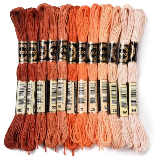 CABODYALS 12 matassa 105 iarde 6 capi Filo Da Ricamo Variegato Arancione Sfumato Crewel Braccialetto dells'Amicizia Filo Sfuso Punto Croce Filo colonneto per La Creazione di Gioielli Cucito A Mano Art