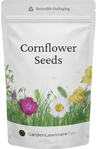 Cornflower Seeds - UK Native Wildflower Ideal for Meadows, Cottage Gardens, Borders & Pollinators - Centaurea Cyanus - Garden Lawncare Guy (20g)