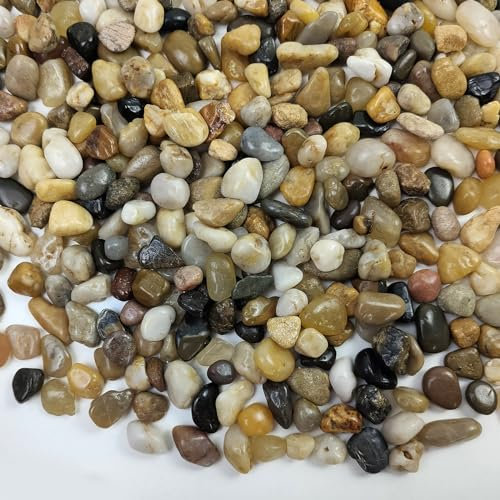 FANTIAN 0.9 kg Aquarium Gravel, 4-8 mm Polished Fish Tank Gravel Pebbles. Decorative Stones for Plant Pots, Garden, Succulent, Vase and Yard