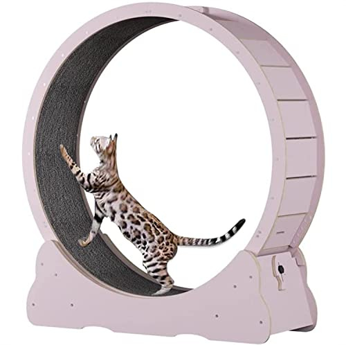 Löpband för katter, Kattleksaker Husdjursrulle Sportklätterställning Husdjurstillbehör(Pink,XL)