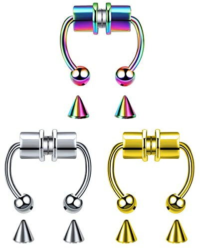 EUJEBEDA 3 Edelstahl Septum Gefälschte Nase Magnetisches Gefälschtes Nasenpiercing Hufeisen Nicht Piercing Nasenringe für Frauen Männer mit Ersatzspitzen