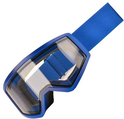 Doppelschichtige Skibrille für Kinder, Snowboardbrille, Outdoor-Sport, photochrom, winddicht, Snowboardbrille