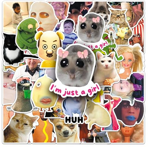 Funny Meme Stickers 50 Pcs Vinyl Cute Trendy Classic Sticker for Laptop Skateboard Scrapbook Water Bottle Car Bike Guitar Luggage,Waterproof Cartoon Kawaii Prank Decals for Teens Girls Kids